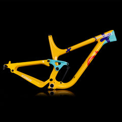 Verfügbar Lackierter Enduro MTB Rahmen P9