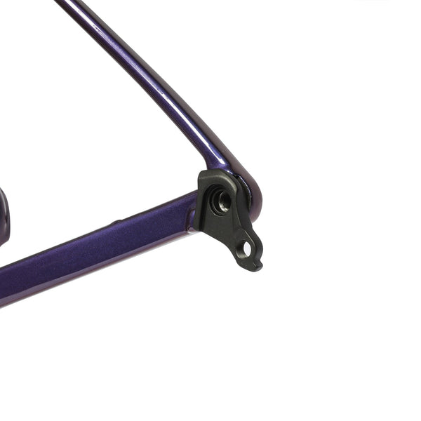 ICAN Flyee road bike disc frame