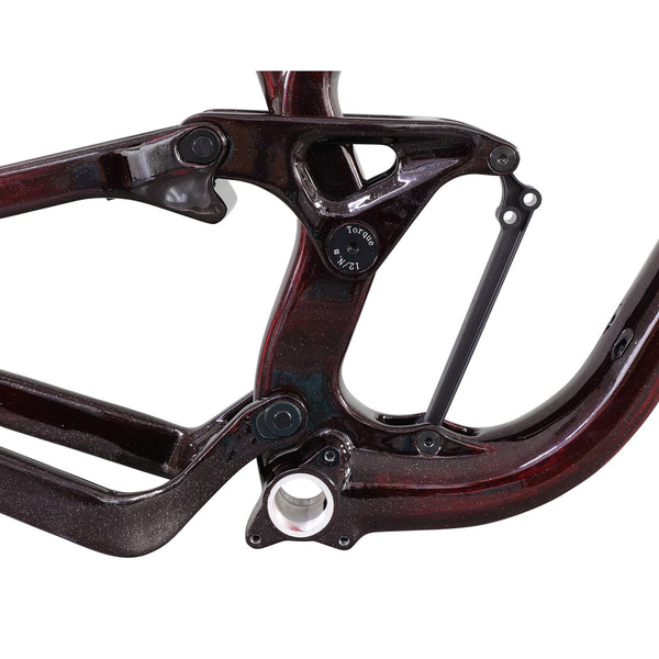 29er Full Suspension Enduro Frame P9