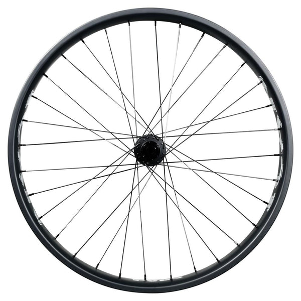 F685 Fat Bike Wheels DT350