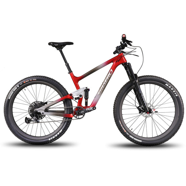 Trail Bike P1-Custom Paint-Sram NX EAGLE - Triaero